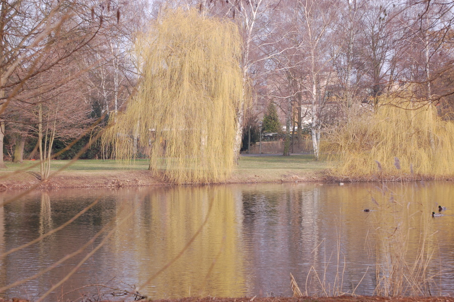 dsc_0483
