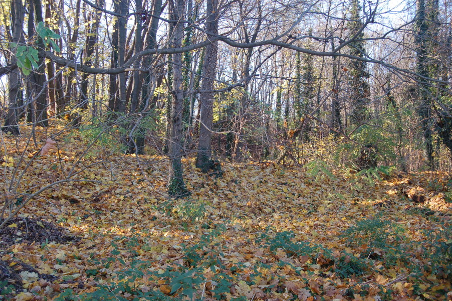 dsc_0324