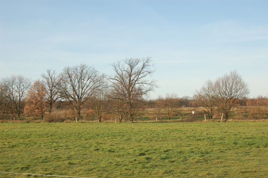 dsc_0331