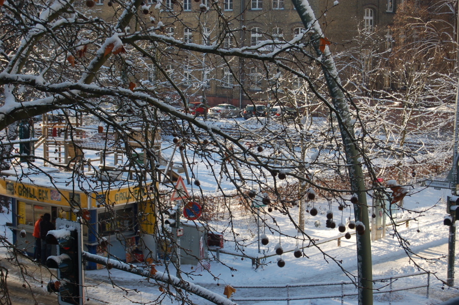 dsc_0347