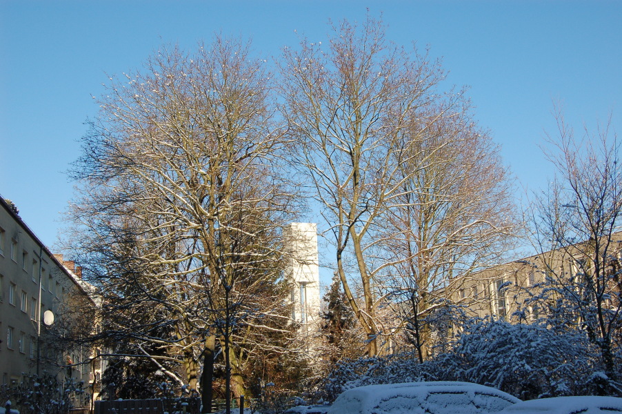 dsc_0349