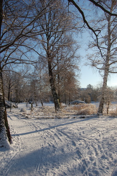 dsc_0365r