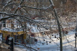 dsc_0347