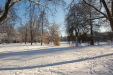 dsc_0359