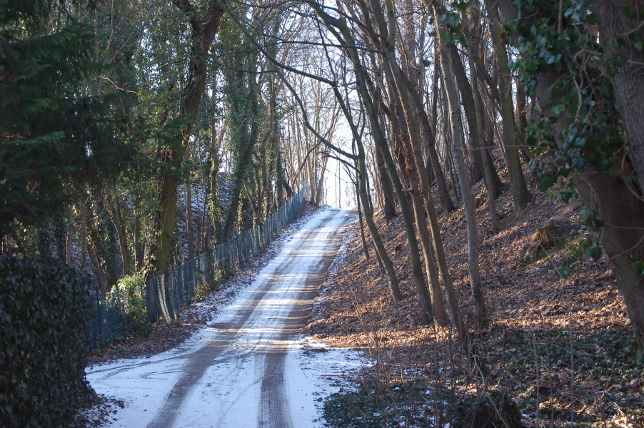 dsc_0420