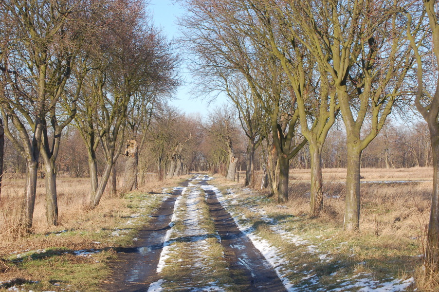 dsc_0434