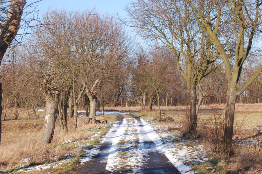 dsc_0439