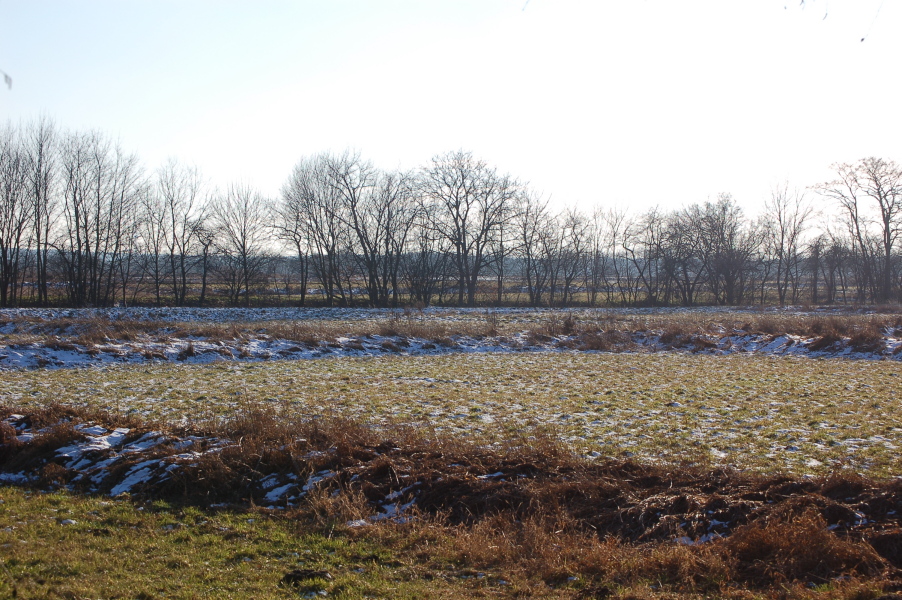 dsc_0440