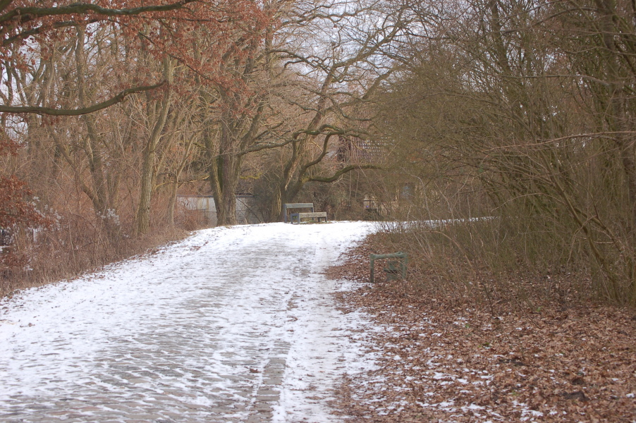 dsc_0519