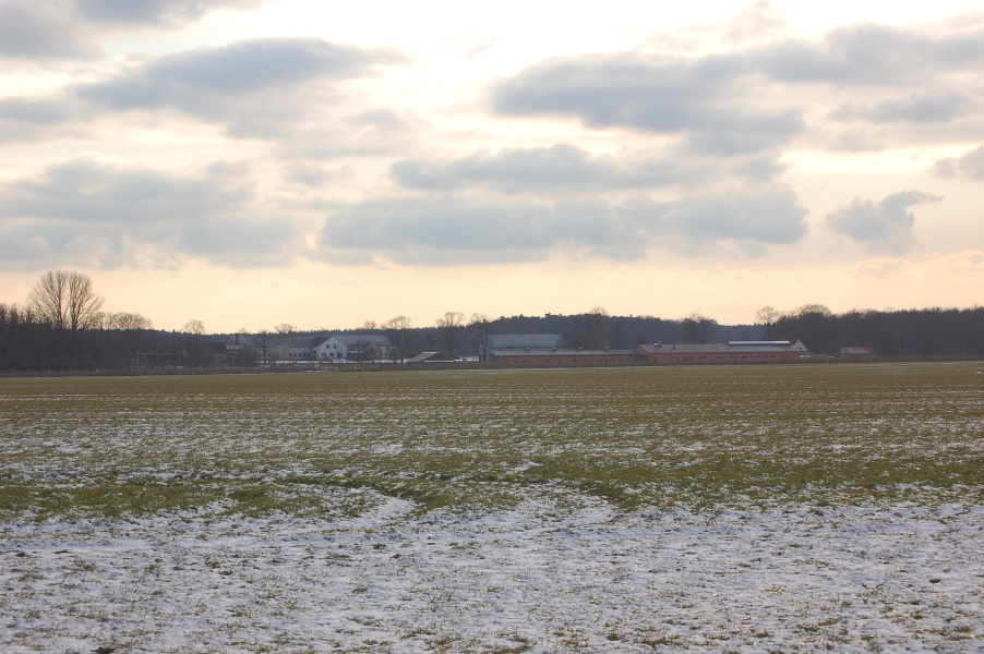 dsc_0525