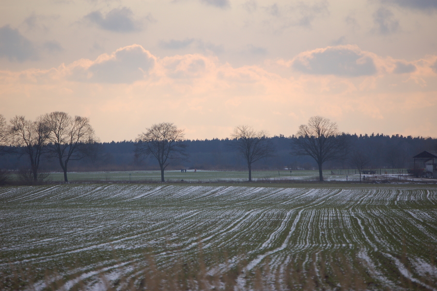 dsc_0535