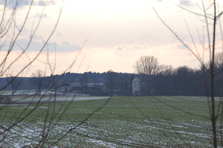 dsc_0536