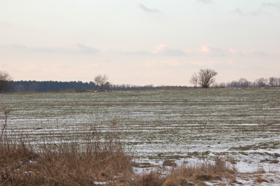 dsc_0548