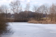 dsc_0485