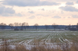 dsc_0534