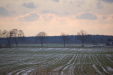 dsc_0535
