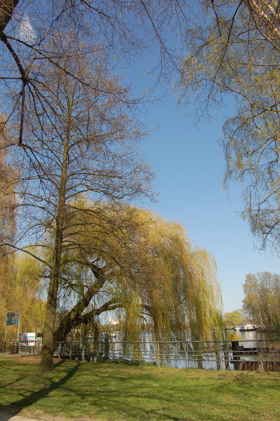 dsc_0025r